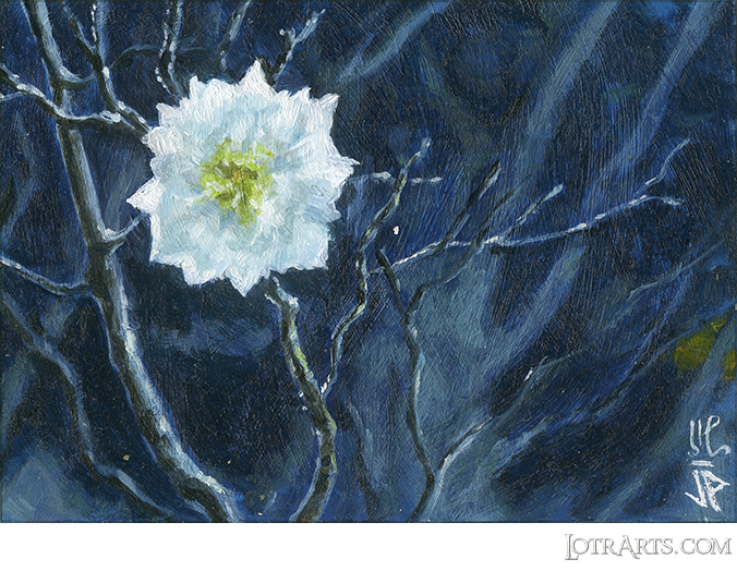The White Tree bloom by Potratz and Hai<span class="ngViews">5 views</span>