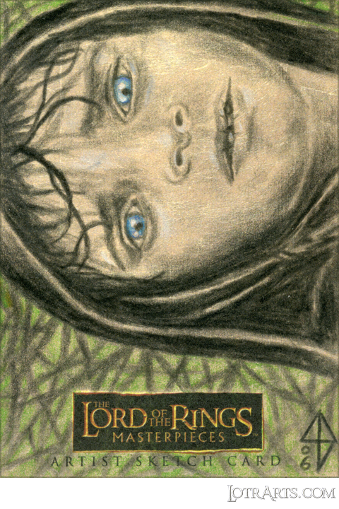Frodo by Bellinger<span class="ngViews">11 views</span>