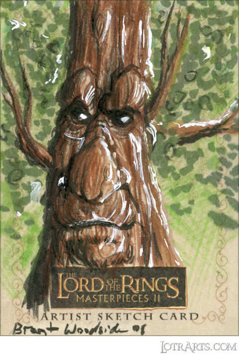 Treebeard by Woodside: artist return sketch