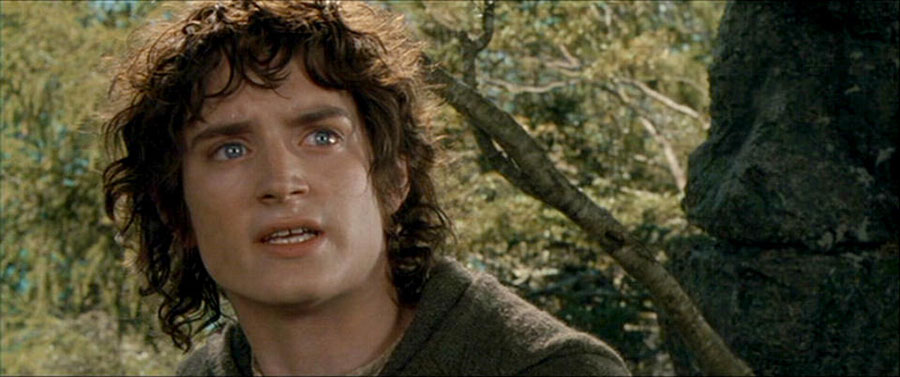 <em>Fellowship of the Ring in Amon Hen</em><br><br>Frodo (to Aragorn): "It has taken Boromir. Would you destroy it?"