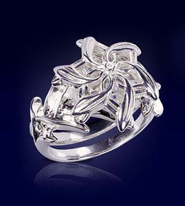 <br />

Noble Collection Nenya, Ring of Water, worn by Galadriel, is reproduced in solid sterling silver and set with a fine European crystal beneath.

<br />

<div class="floatbox" data-fb-options="width:1400 height:80% group:2"><a href="http://www.noblecollection.com/Item--i-PRP-LR-9174" class="transparent">✦</a></div><span class="ngViews">17 views</span>