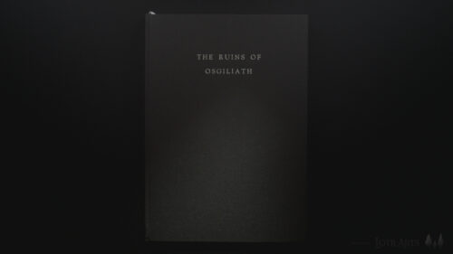 The Ruins of Osgiliath 1995 Limited edition 29 of 100 Signed by A. Lewis and R. Lacon